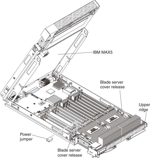 Graphic illustrating how to remove anIBM MAX5