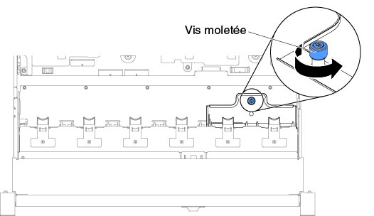 Vis moletée