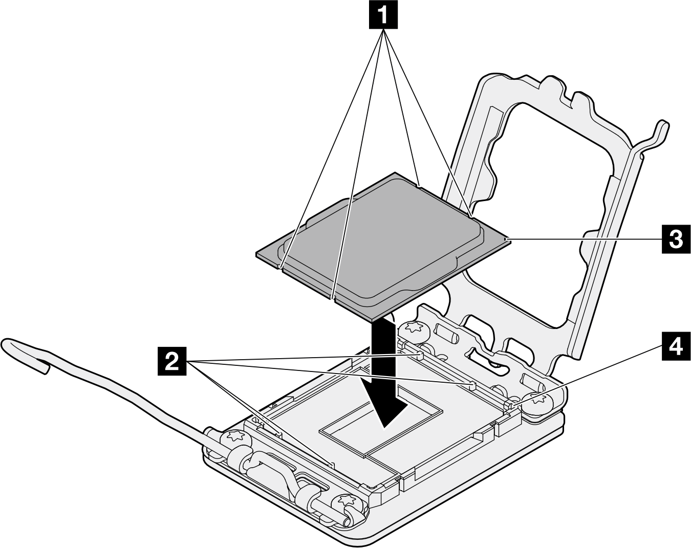 Installing the processor