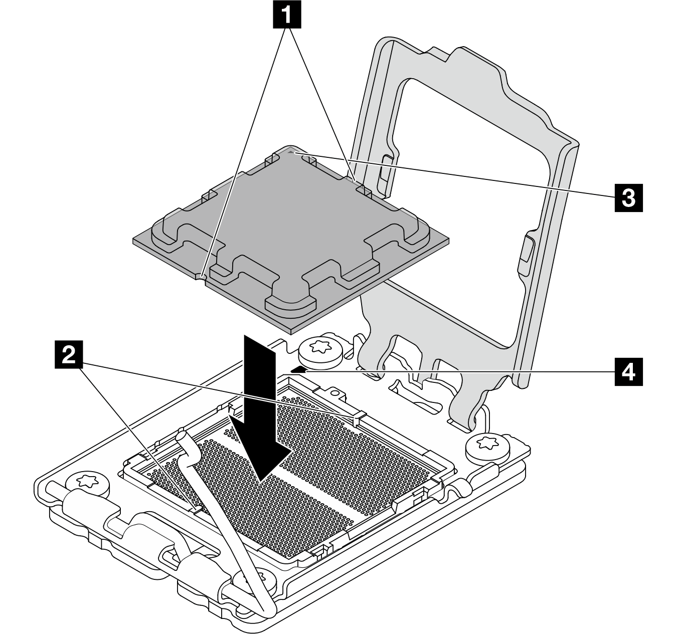 Installing the processor