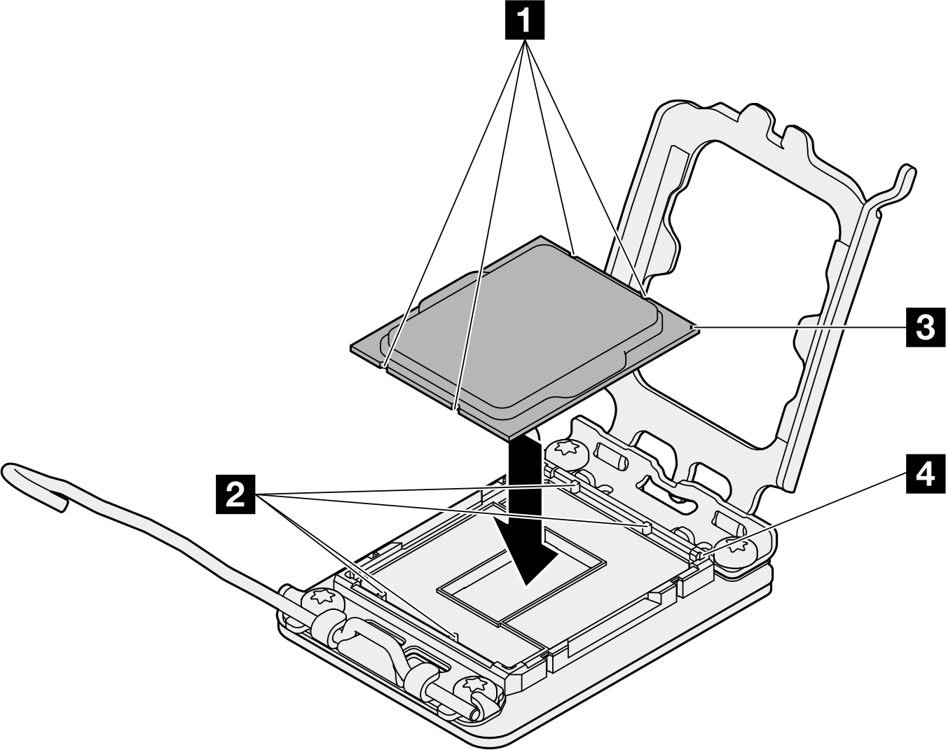 Installing the processor