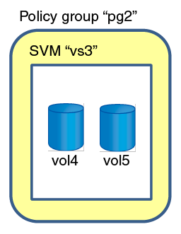 This graphic is described by the surrounding text.