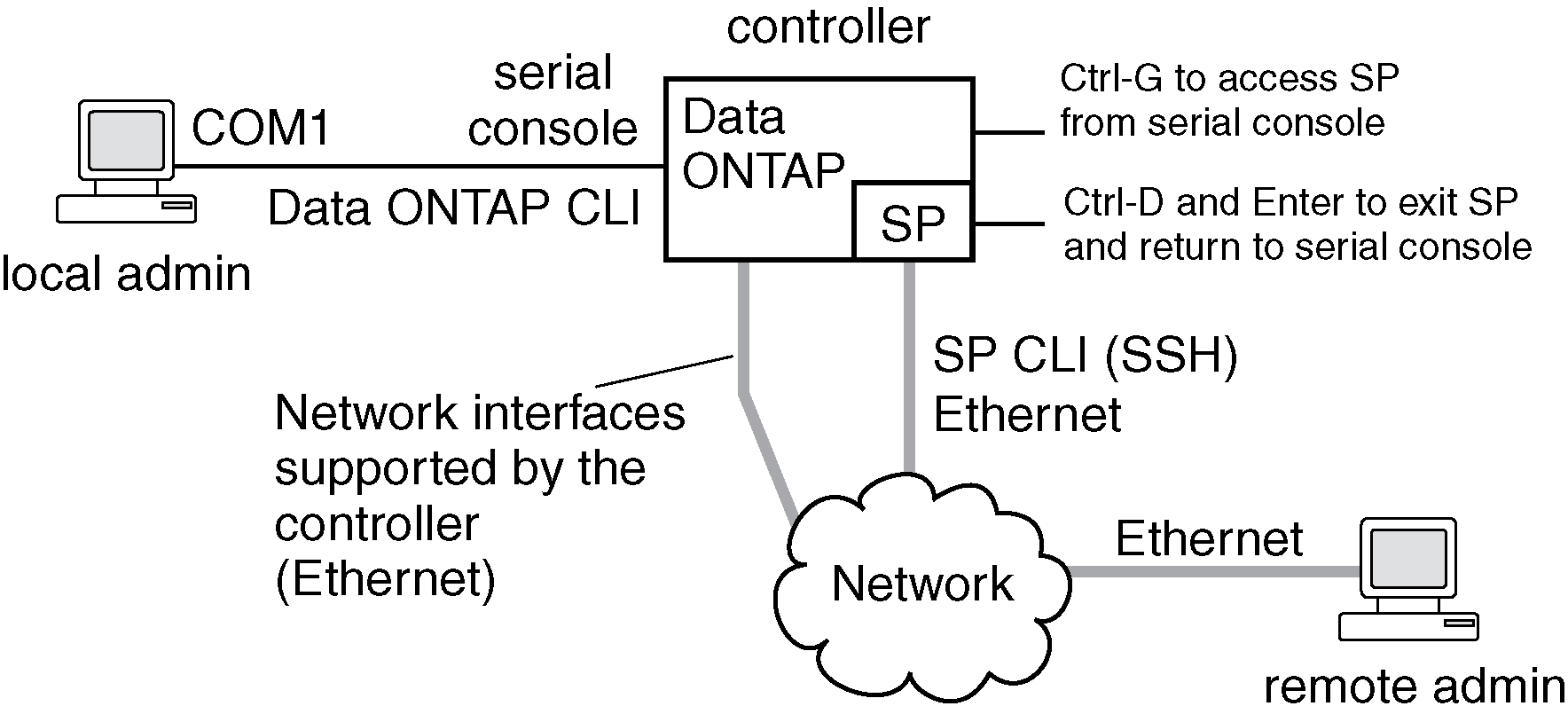 This graphic is described by the surrounding text.