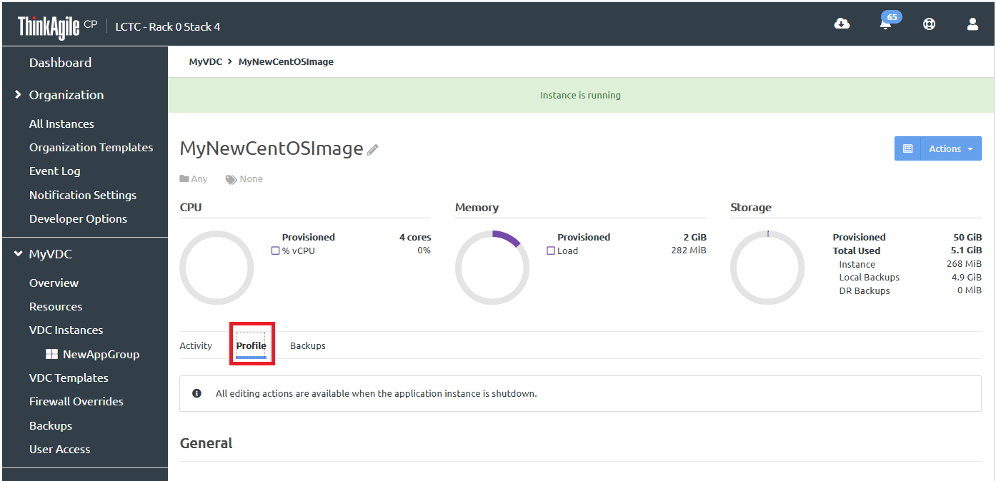 Screen capture of the Profile tab for an application instance