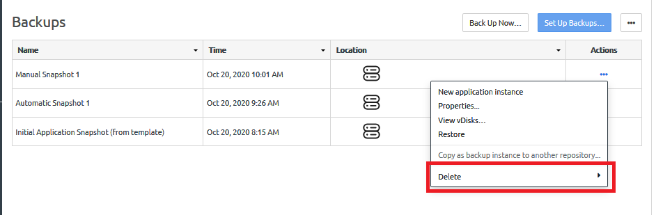 Screen capture showing the Delete option of the actions menu for a local backup