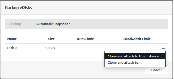 Screen capture of the Clone and attach to this instance option