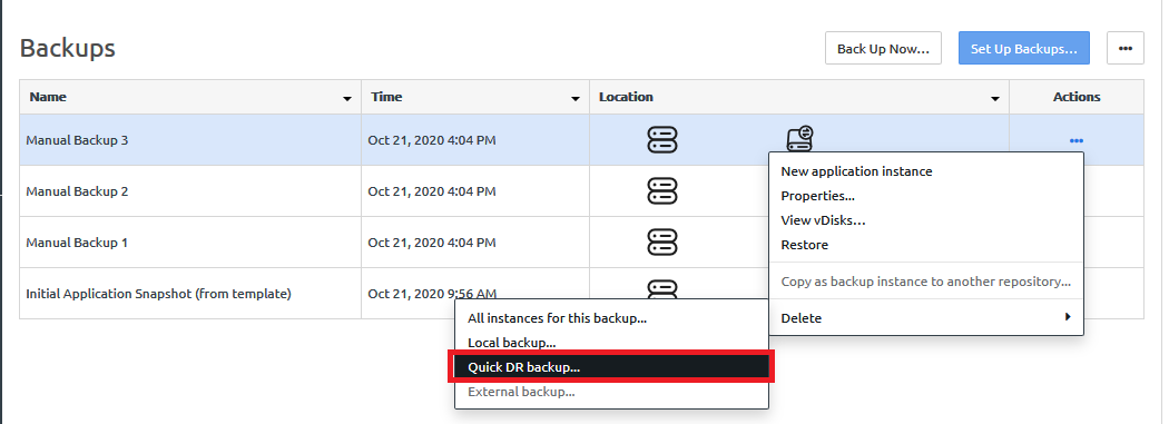 Screen capture showing the delete quick DR backup selection