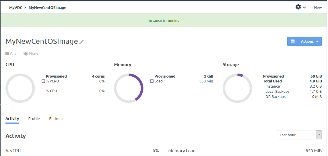 Screen capture showing the activity tab of the instance details page