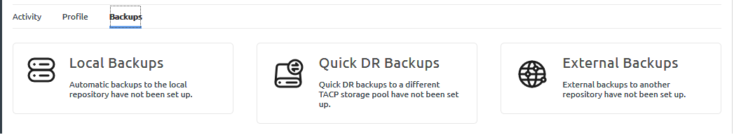 Screen capture of the Backups tab for an application instance