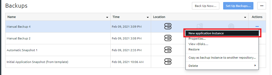 Screen capture showing New application instance being selected for a backup.