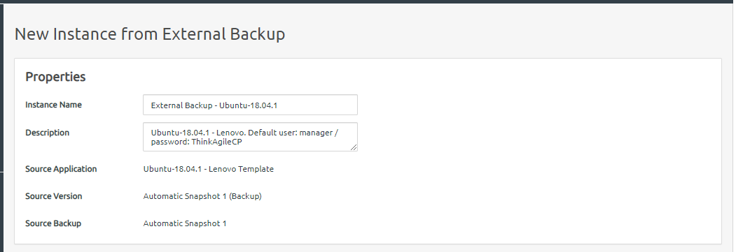 Screen capture showing Properties section of the new instance from External Backup dialog.