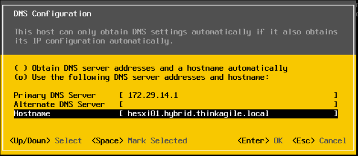 Screen capture of the ESXi DNS Configuration page