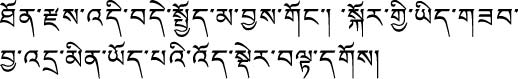 チベット語の安全上の注記