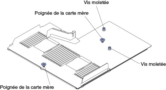 Insertion des vis moletées